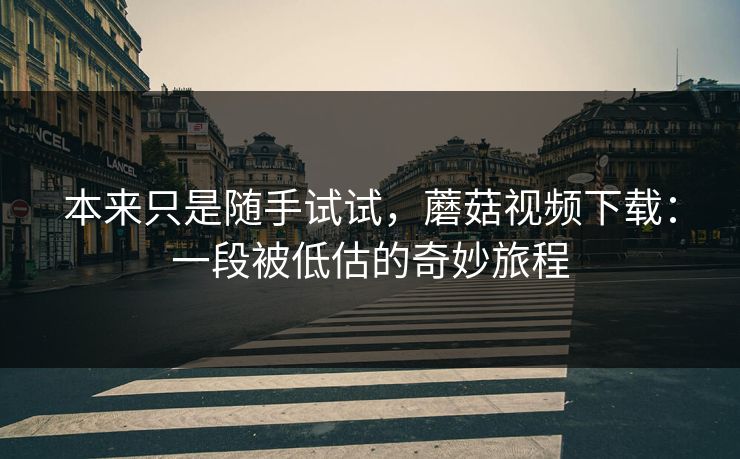 本来只是随手试试，蘑菇视频下载：一段被低估的奇妙旅程  第1张