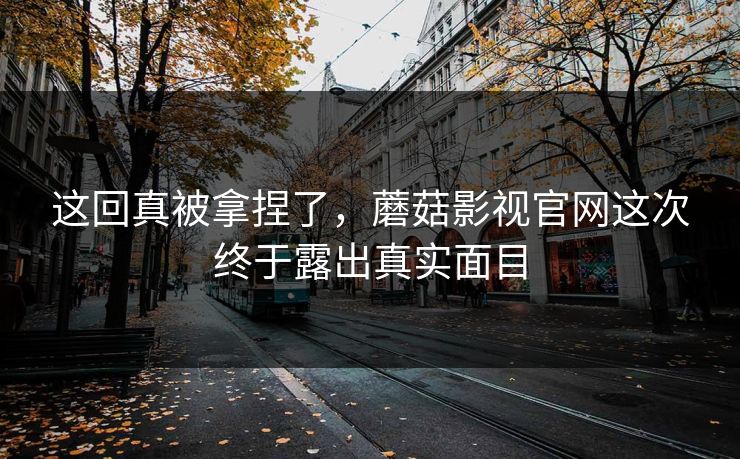 这回真被拿捏了，蘑菇影视官网这次终于露出真实面目  第1张
