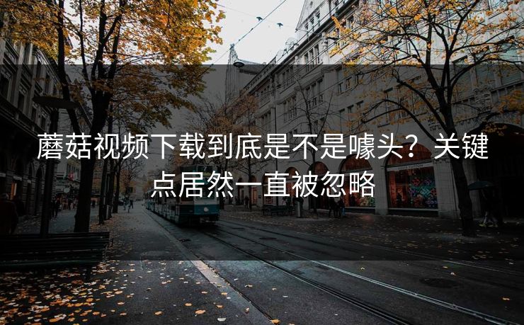 蘑菇视频下载到底是不是噱头？关键点居然一直被忽略  第1张