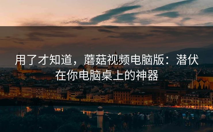 用了才知道，蘑菇视频电脑版：潜伏在你电脑桌上的神器  第1张