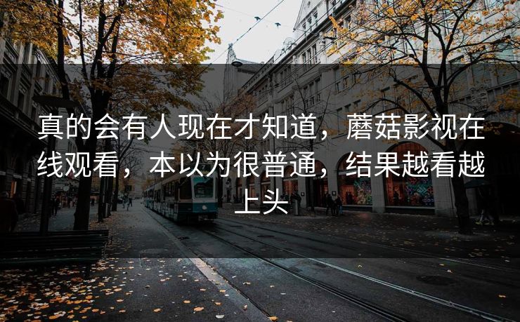 真的会有人现在才知道，蘑菇影视在线观看，本以为很普通，结果越看越上头  第1张