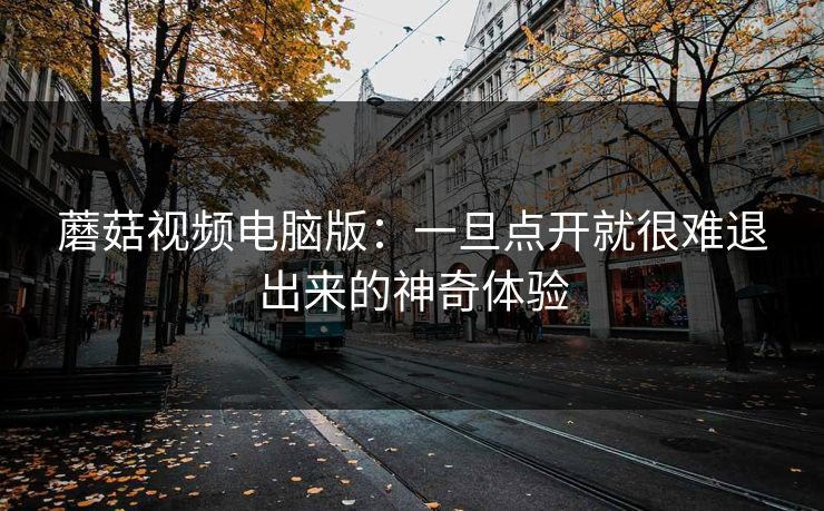 蘑菇视频电脑版：一旦点开就很难退出来的神奇体验  第1张