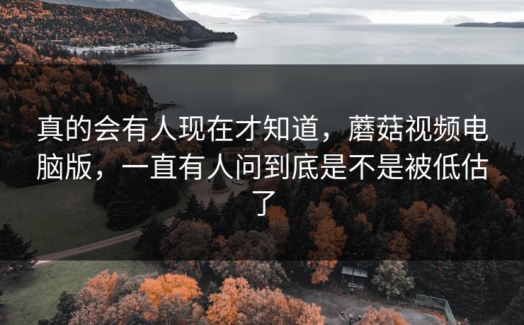 真的会有人现在才知道，蘑菇视频电脑版，一直有人问到底是不是被低估了  第1张