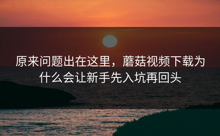 原来问题出在这里，蘑菇视频下载为什么会让新手先入坑再回头  第1张