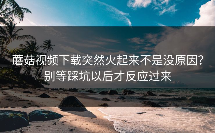 蘑菇视频下载突然火起来不是没原因？别等踩坑以后才反应过来  第1张