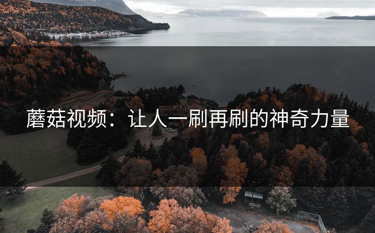蘑菇视频：让人一刷再刷的神奇力量  第1张