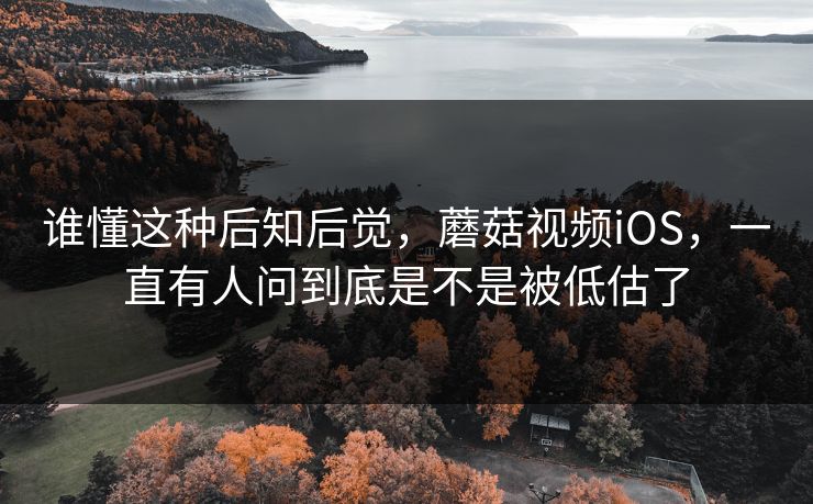 谁懂这种后知后觉，蘑菇视频iOS，一直有人问到底是不是被低估了  第1张