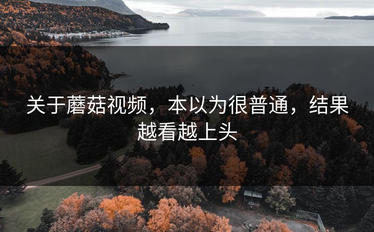 关于蘑菇视频，本以为很普通，结果越看越上头  第1张